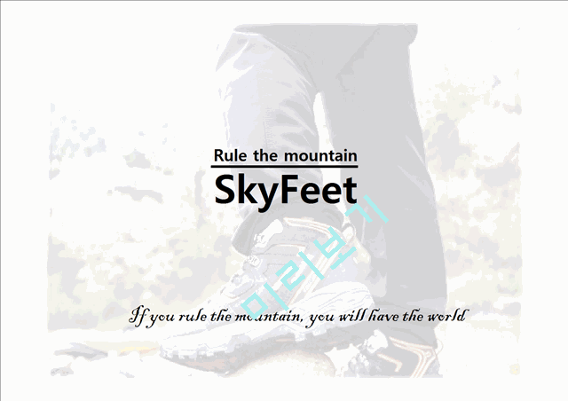 Rule the mountain,SkyFeet   (1 )